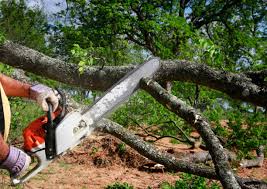 Mulching Services in Smithton, IL